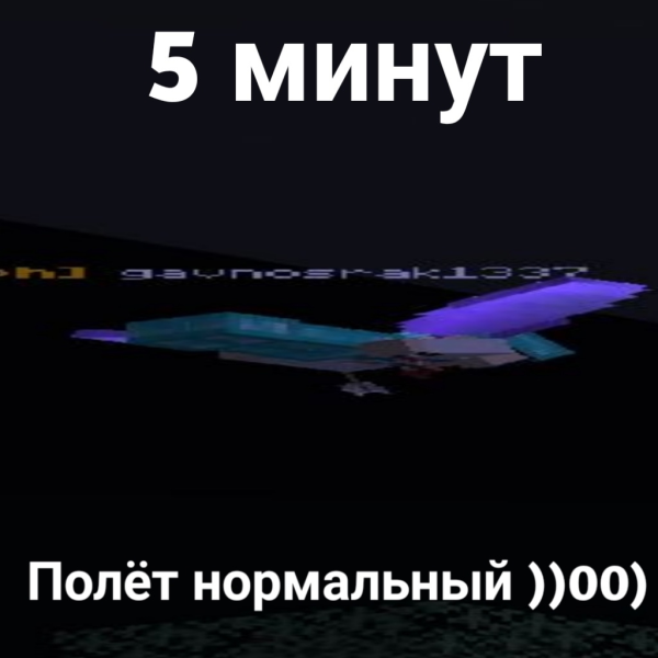 Файл:Полет.png